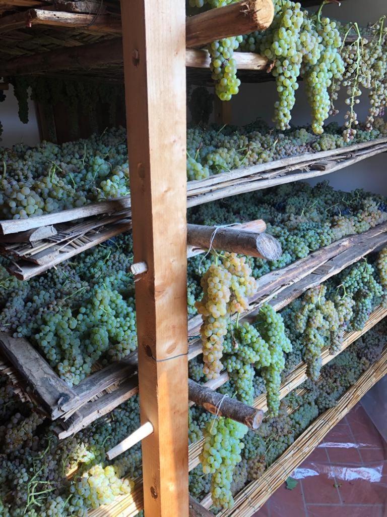 Podere San Giusto Figline Valdarno Exterior foto