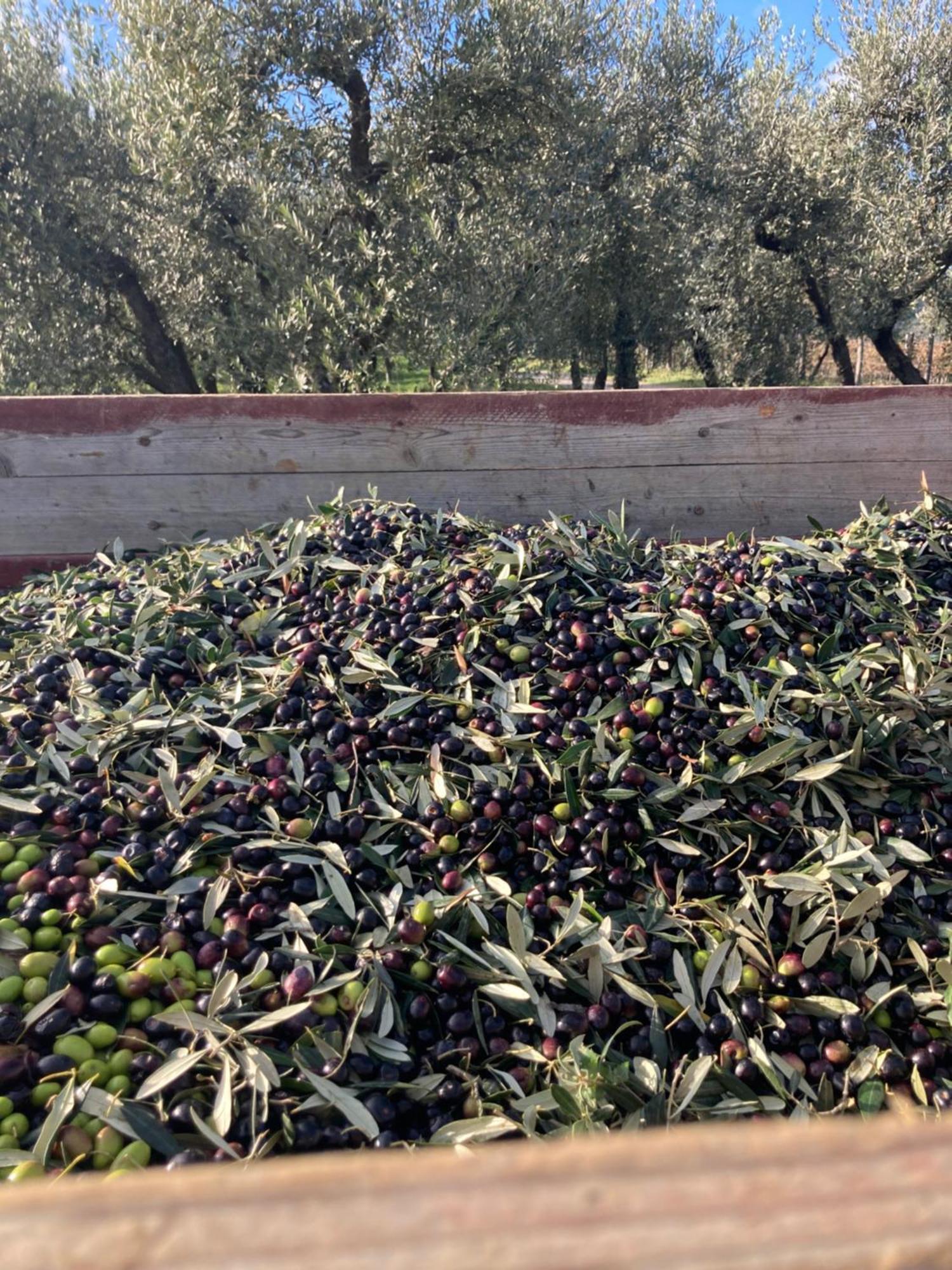 Podere San Giusto Figline Valdarno Exterior foto